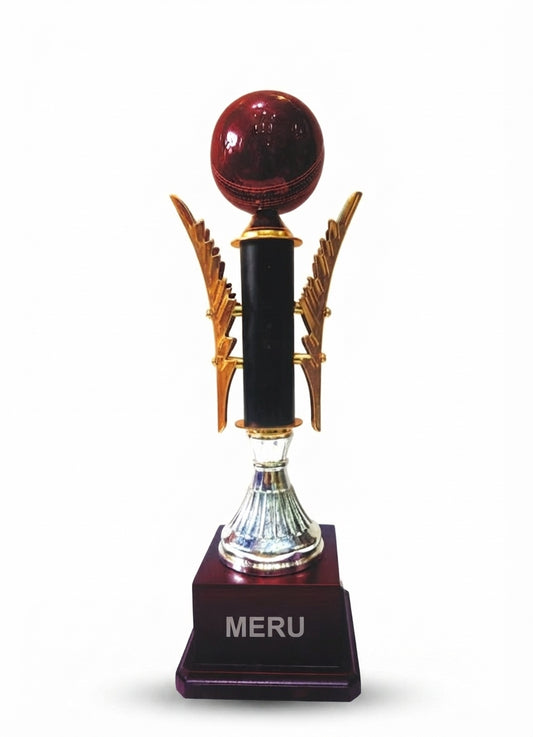 Cricket Victory Trophy 4235 - Meru Trophy