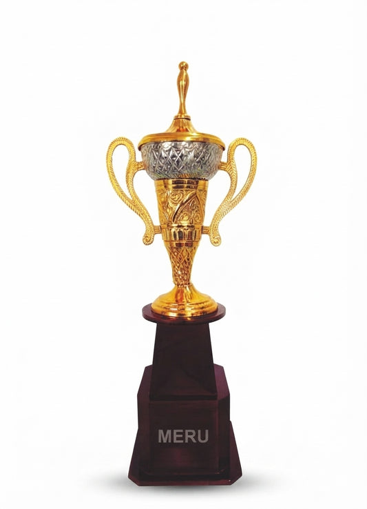 Elegant Metal Trophy Award 960 - Meru Trophy