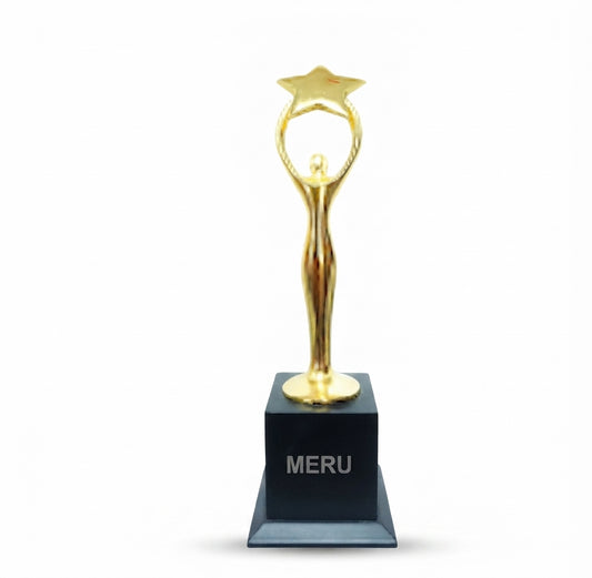 Star Achievement Corporate Trophy 585 - Meru Trophy