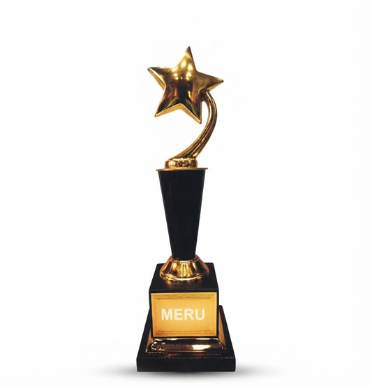 Gold Star Trophy Custom Awards and Recognition Trophies 4153 - Meru Trophy