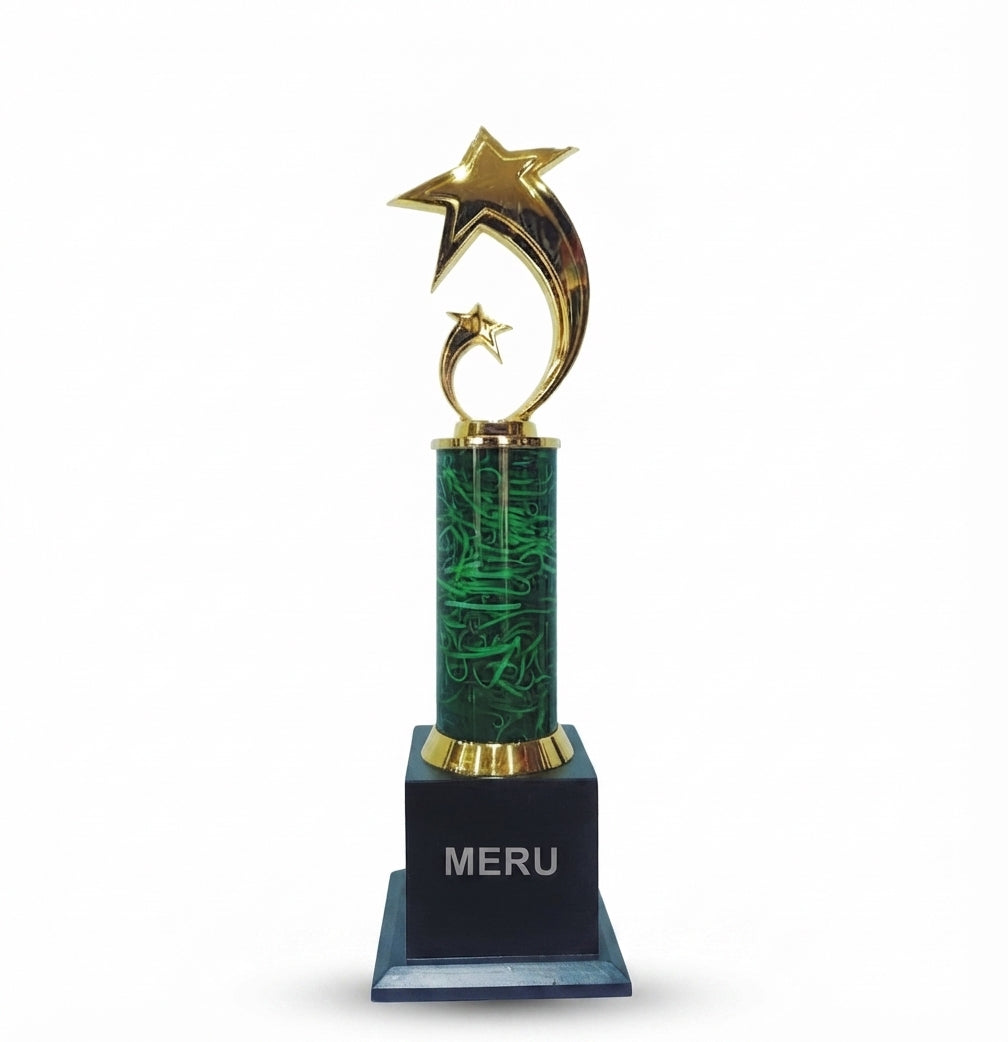 Premium Star Award Trophy 378 - Meru Trophy
