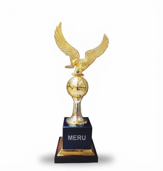 Eagle Award Trophy Recognition Awards 4031 - Meru Trophy