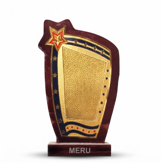 Wooden Star Award for Employee Recognition 574 - Meru Trophy