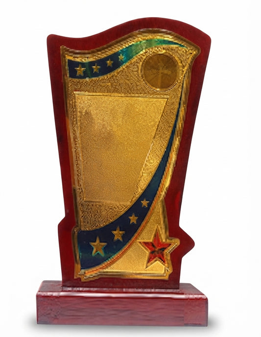 Wooden Recognition Award Trophy 1728 - Custom Wooden Mementos - Meru Trophy