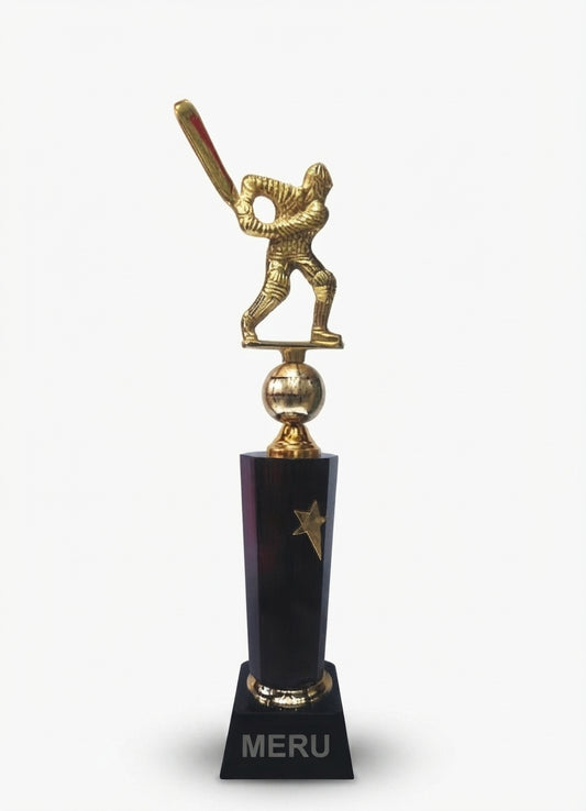 Cricket Trophy Award Metal Sports Trophies 4074 - Meru Trophy