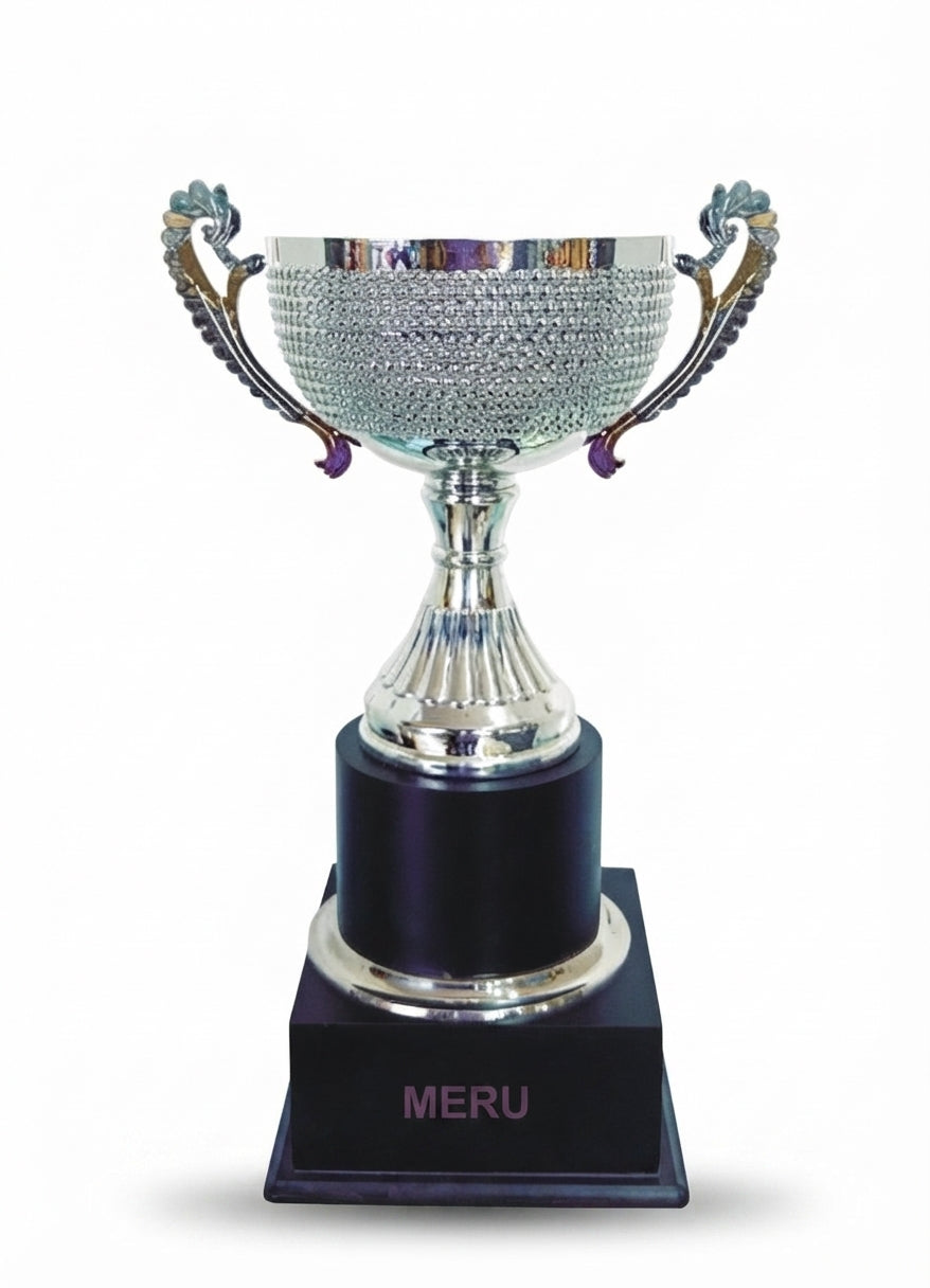 Silver Metal Cup Trophy - Achievement Awards275GH - Meru Trophy
