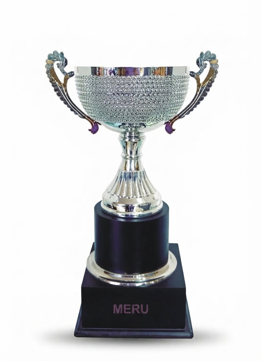Silver Metal Cup Trophy - Achievement Awards275GH - Meru Trophy