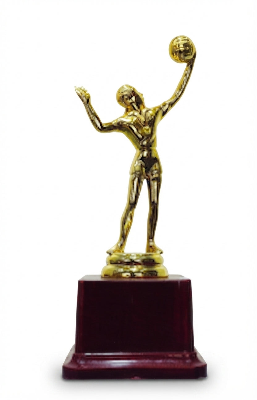 Volleyball Gold Trophy 117 - Fiber Trophy Award - Meru Trophy