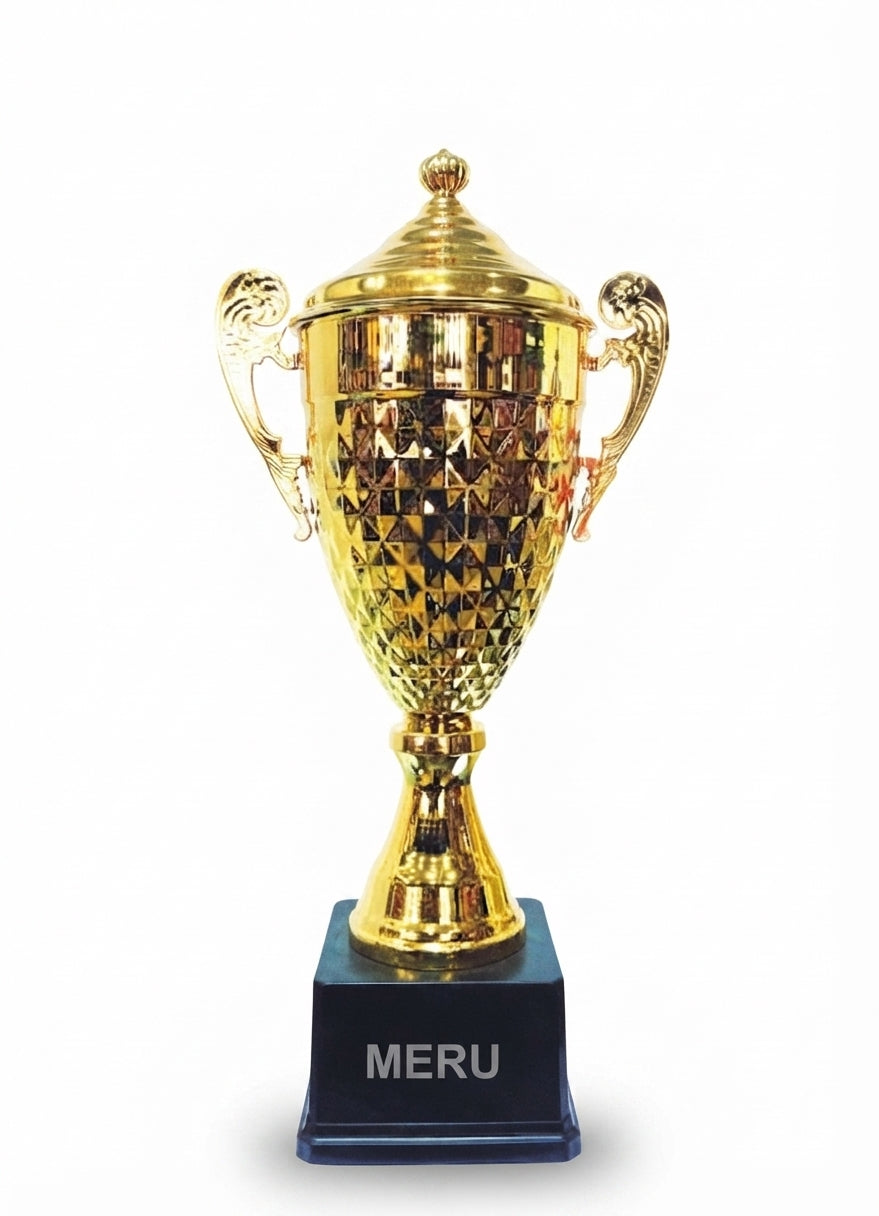 Gold Trophy Cup - Metal Sports Trophies and Awards 4088 - Meru Trophy