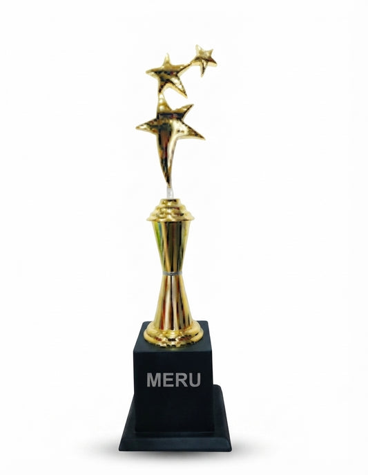 Star Award Trophies and Corporate Trophies 501 - Meru Trophy