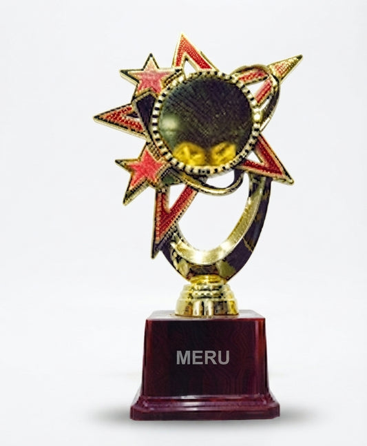 Star Achievement Award Trophy 172 - Meru Trophy
