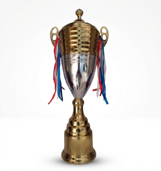 Metal Trophy Award 4011 - Meru Trophy