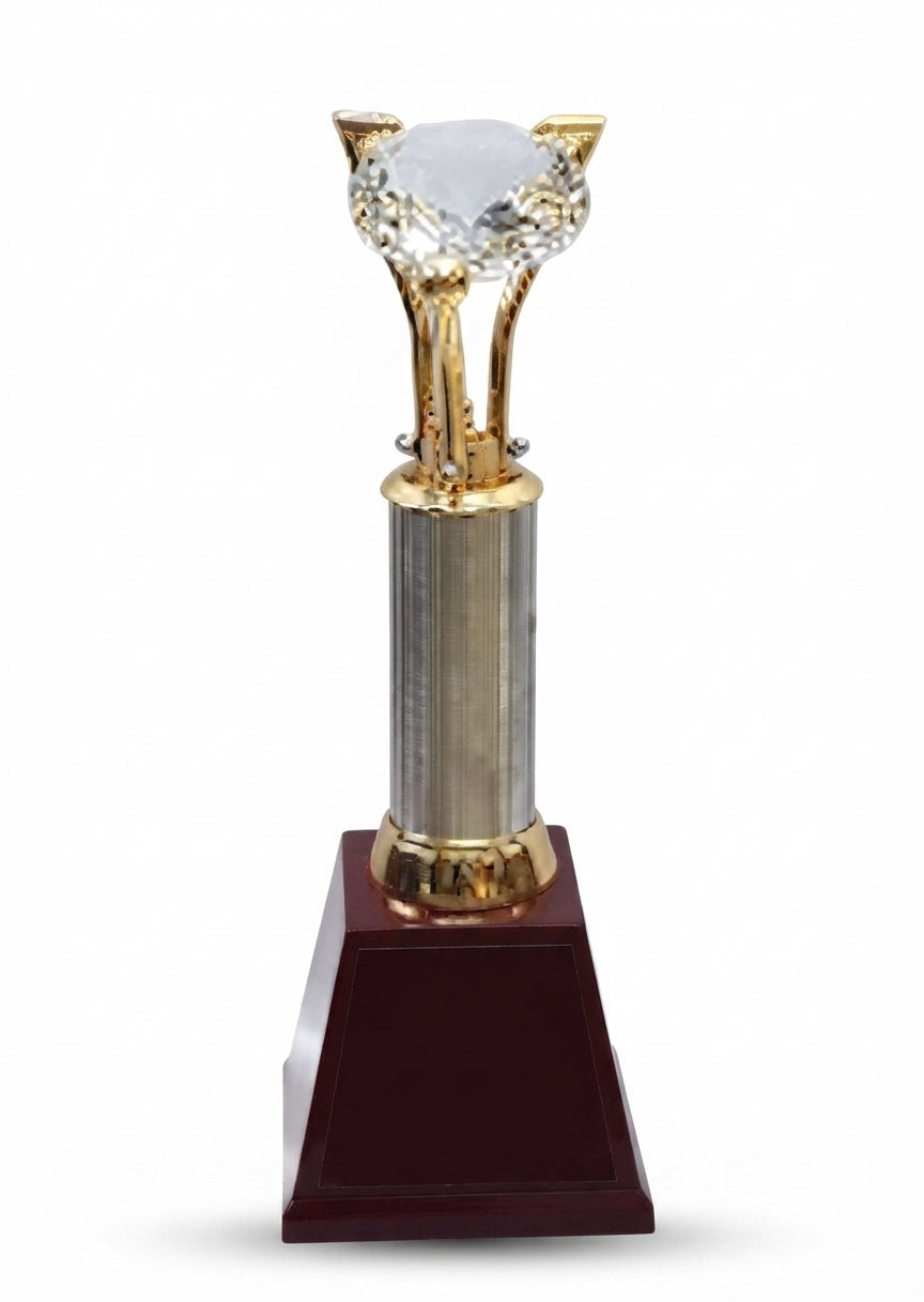 Crystal Trophy Award AS 967 - Unique Sports Awards & Cricket Trophies - Meru Trophy
