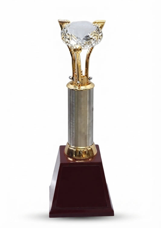 Crystal Trophy Award AS 967 - Unique Sports Awards & Cricket Trophies - Meru Trophy