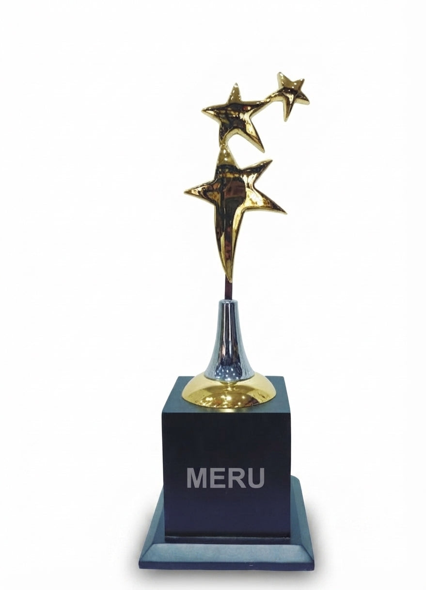 Premium Star Trophies Corporate and Recognition Awards 348 - Meru Trophy