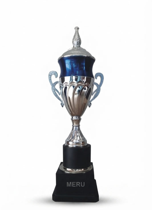 Elegant Metal Trophy Award with Custom Trophy 208 - Meru Trophy