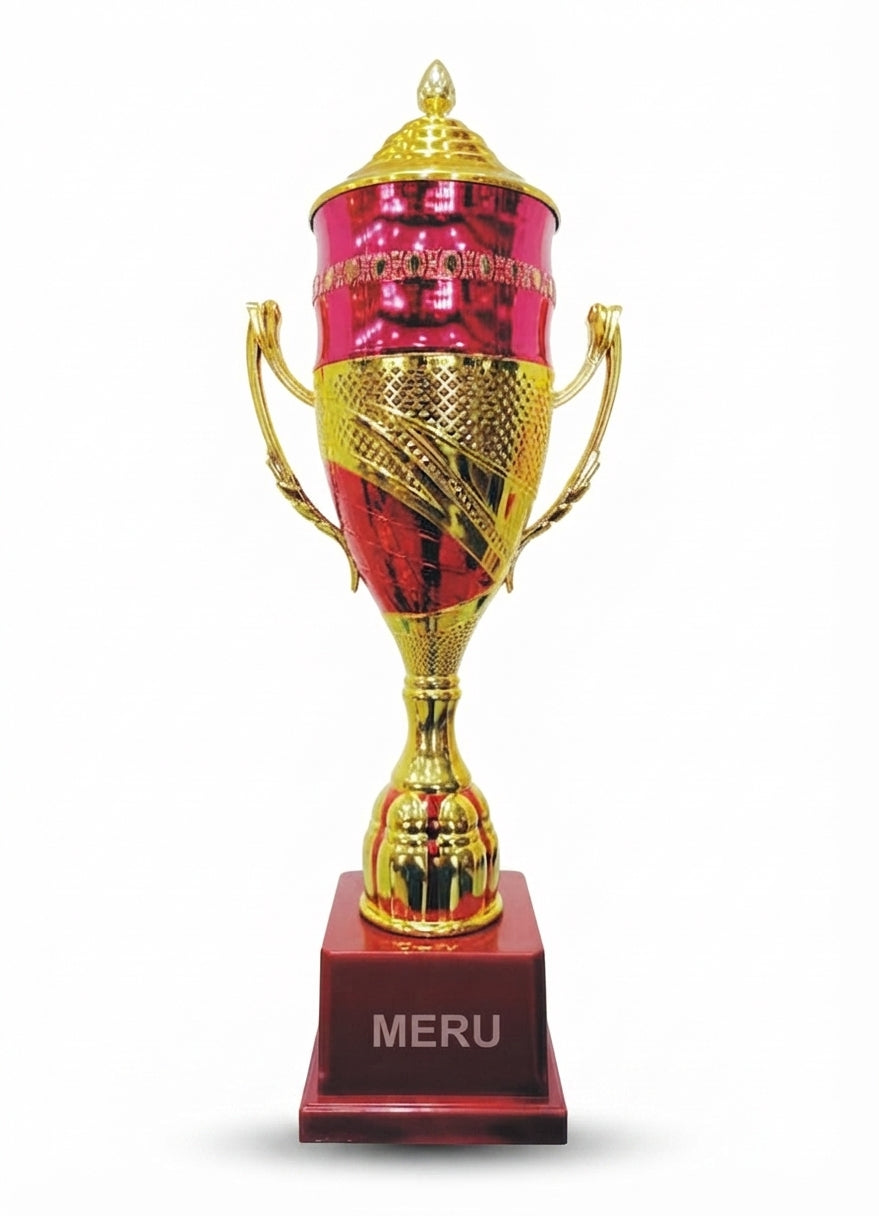 Elegant Cup Trophy Award  948 - Meru Trophy