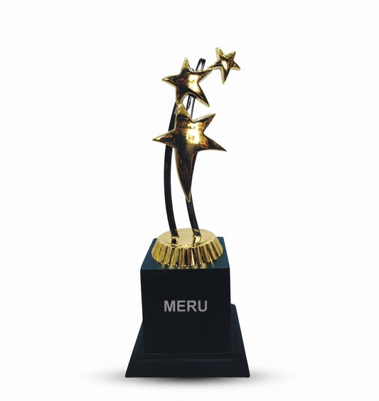 Star Trophy Recognition Awards 347 - Meru Trophy