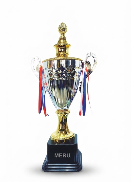 Elegant Metal Trophy Award for Recognition Awards 2051 - Meru Trophy