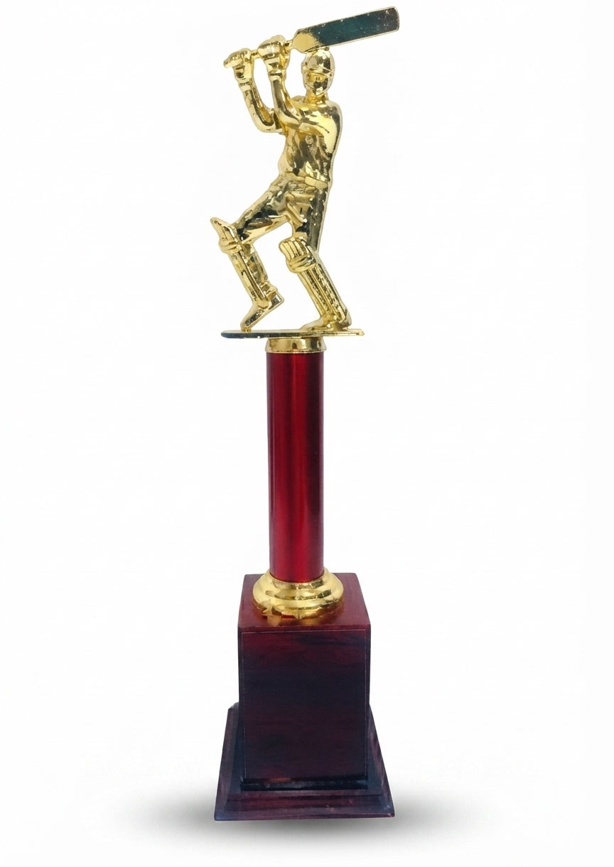 Cricket Trophy | Custom Awards 1031 | Recognition Awards - Meru Trophy