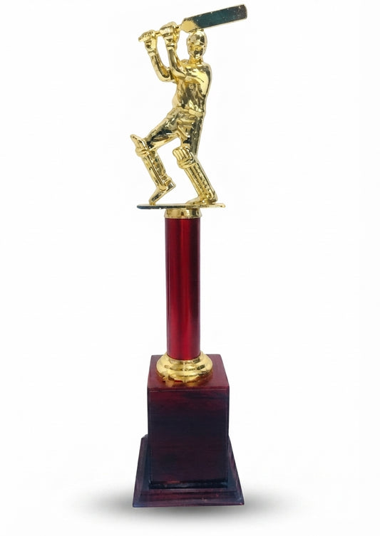Cricket Trophy | Custom Awards 1031 | Recognition Awards - Meru Trophy