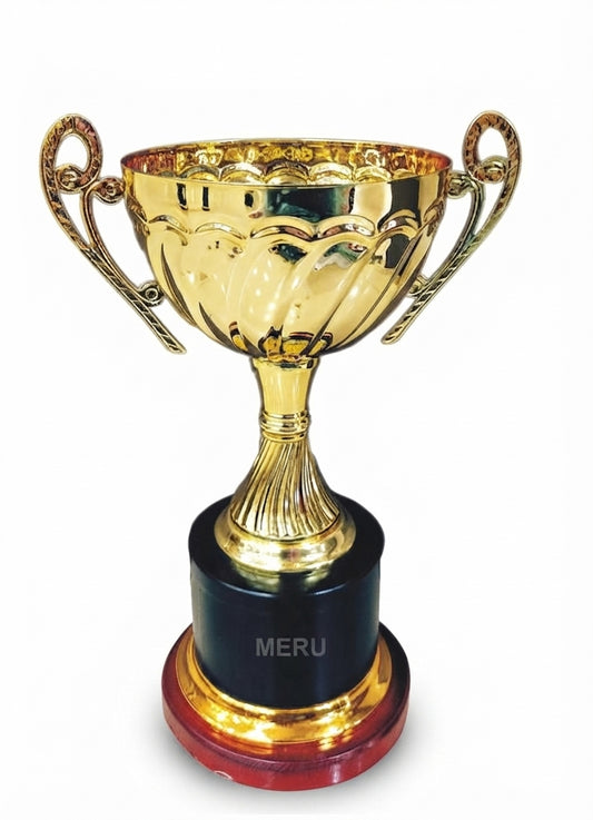 Gold Trophy Cup Award Recognition 5005 - Meru Trophy