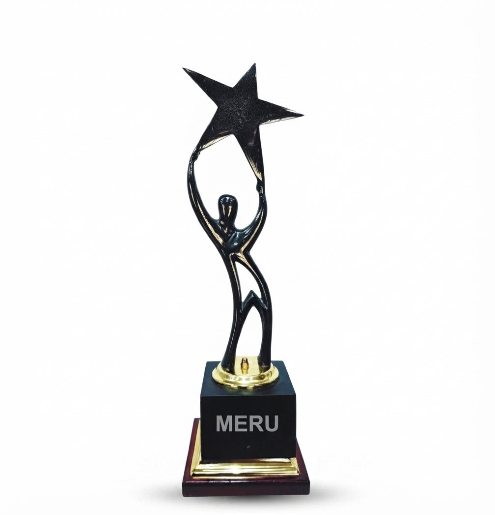 Star Achiever Trophy: Corporate Recognition Award 4192 - Meru Trophy