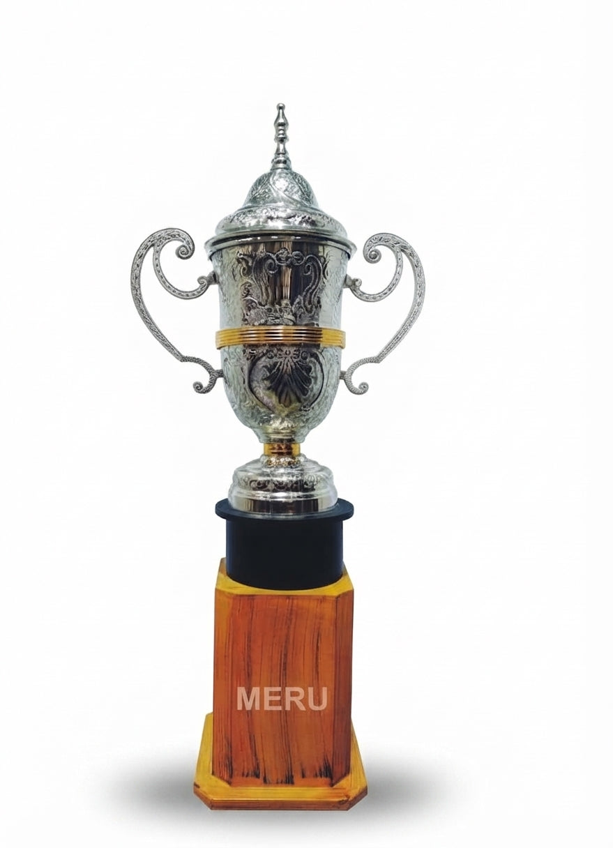 Premium Silver & Gold Metal Trophy Award Ring-Cup-Silver-1 - Meru Trophy