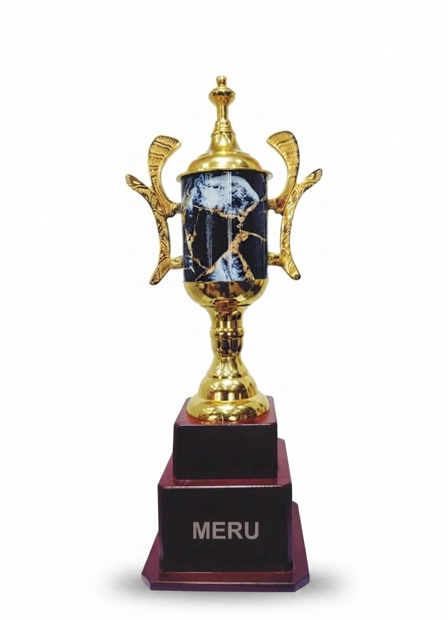 Gold & Black Marble Achievement Trophy AS756 - Meru Trophy