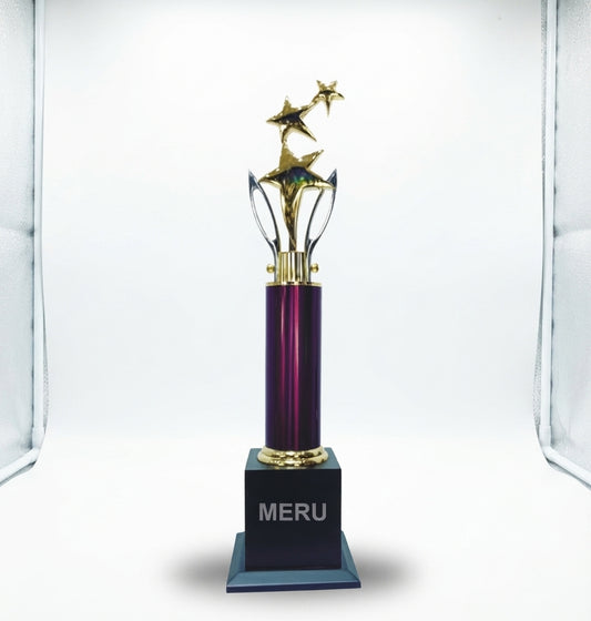 Premium Star Trophy 584 - Meru Trophy