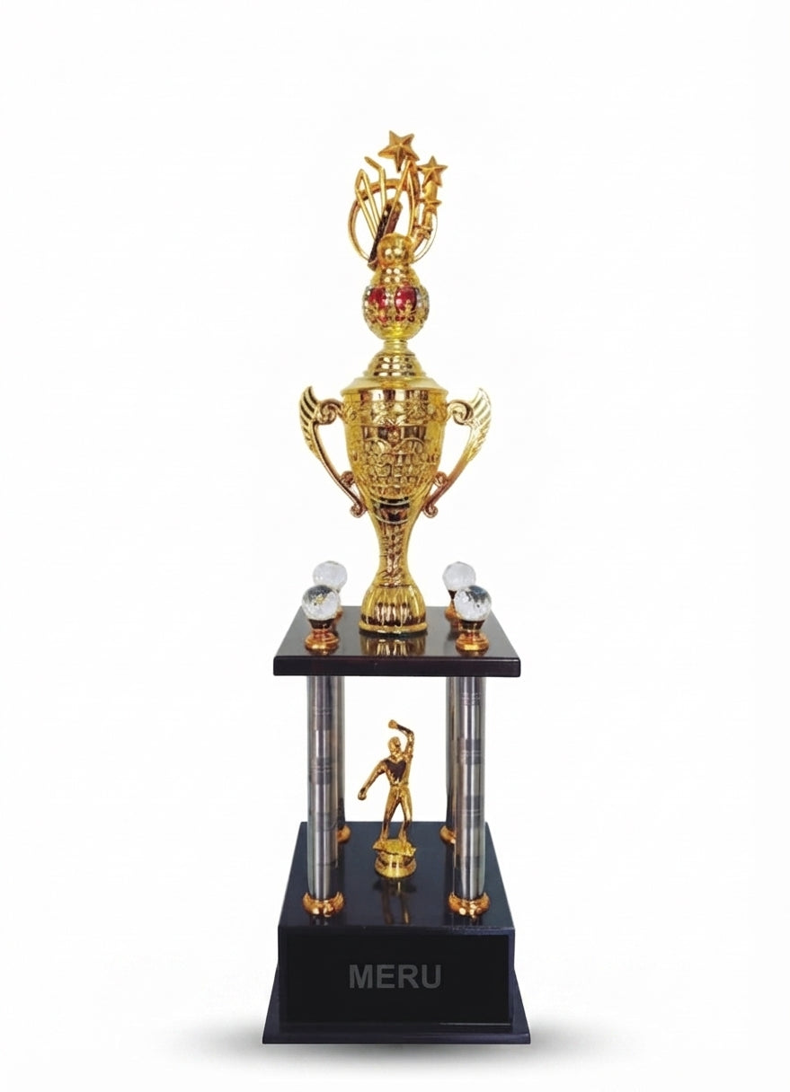 Gold Sports Cup Trophy 4782 - Meru Trophy