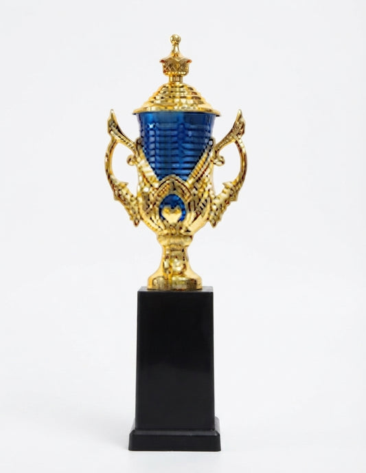 Blue and Gold Award Trophy: Corporate & Sports Recognition ABS 144 - Meru Trophy