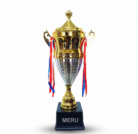 Metal Cup Trophy - Sports Awards 4033 - Meru Trophy