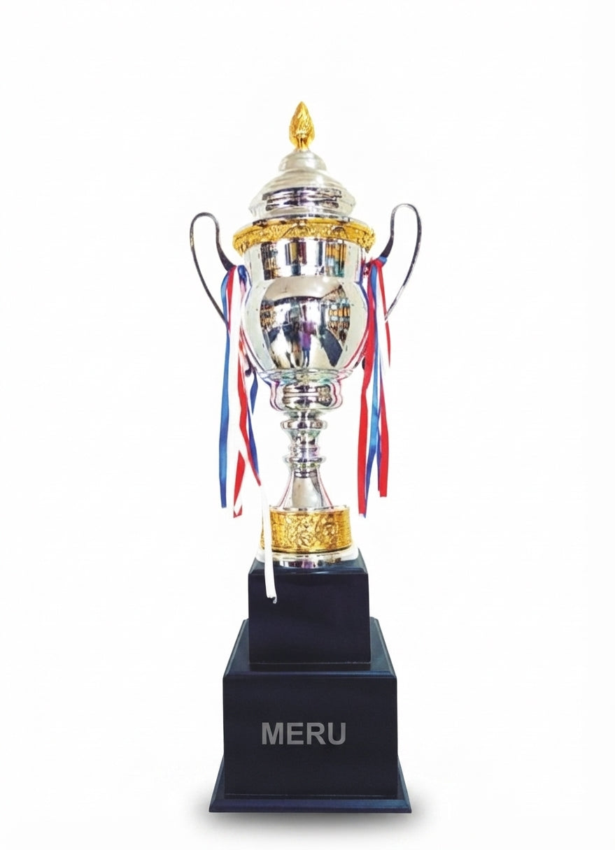 Silver & Gold Metal Trophy Award 5150 - Meru Trophy