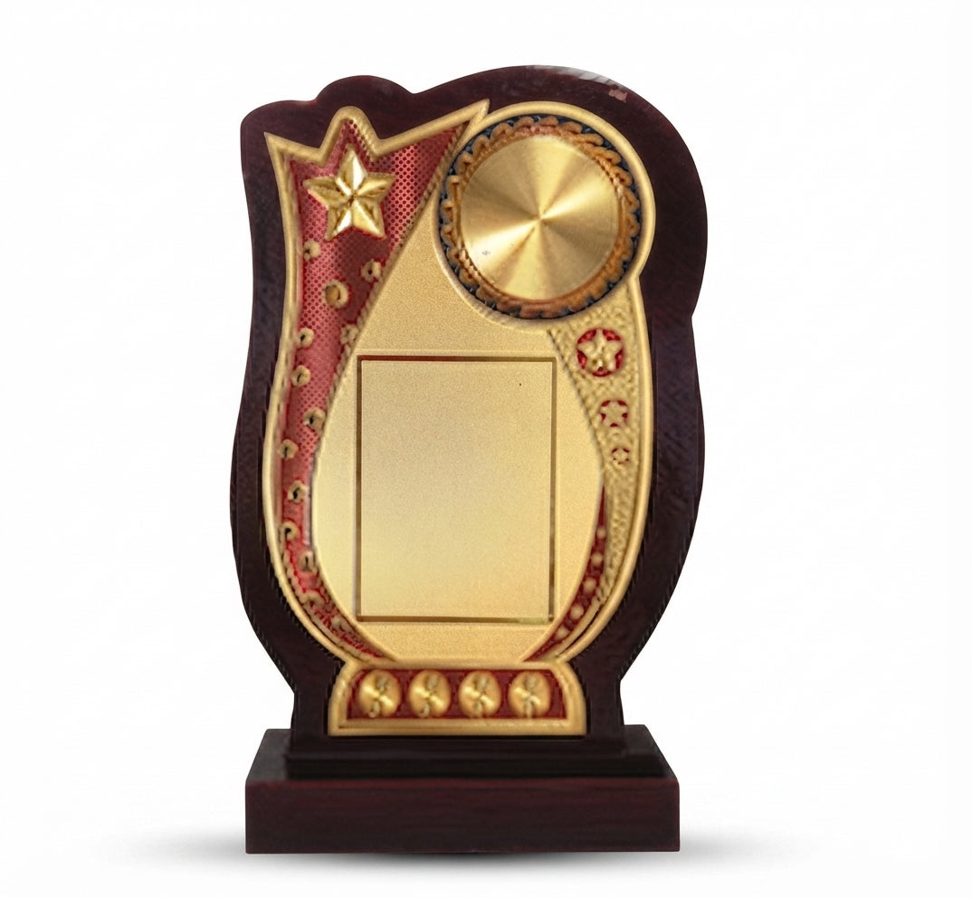 Wooden Trophy Recognition Award - Custom Engraved & Unique Designs 530 - Meru Trophy