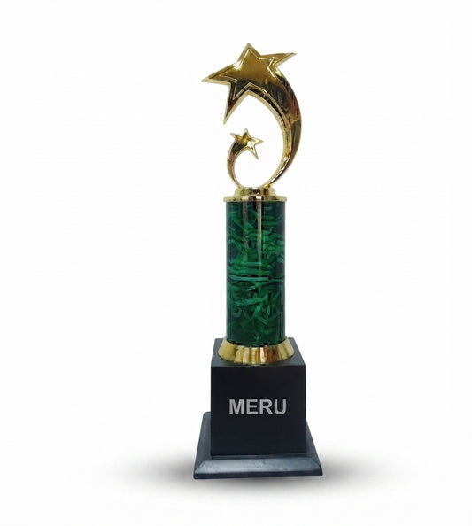 Premium Star Trophy Corporate Awards premium gold star trophy 378 1 - Meru Trophy