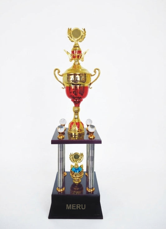 Elegant Metal Cup Trophy 4927 - Meru Trophy