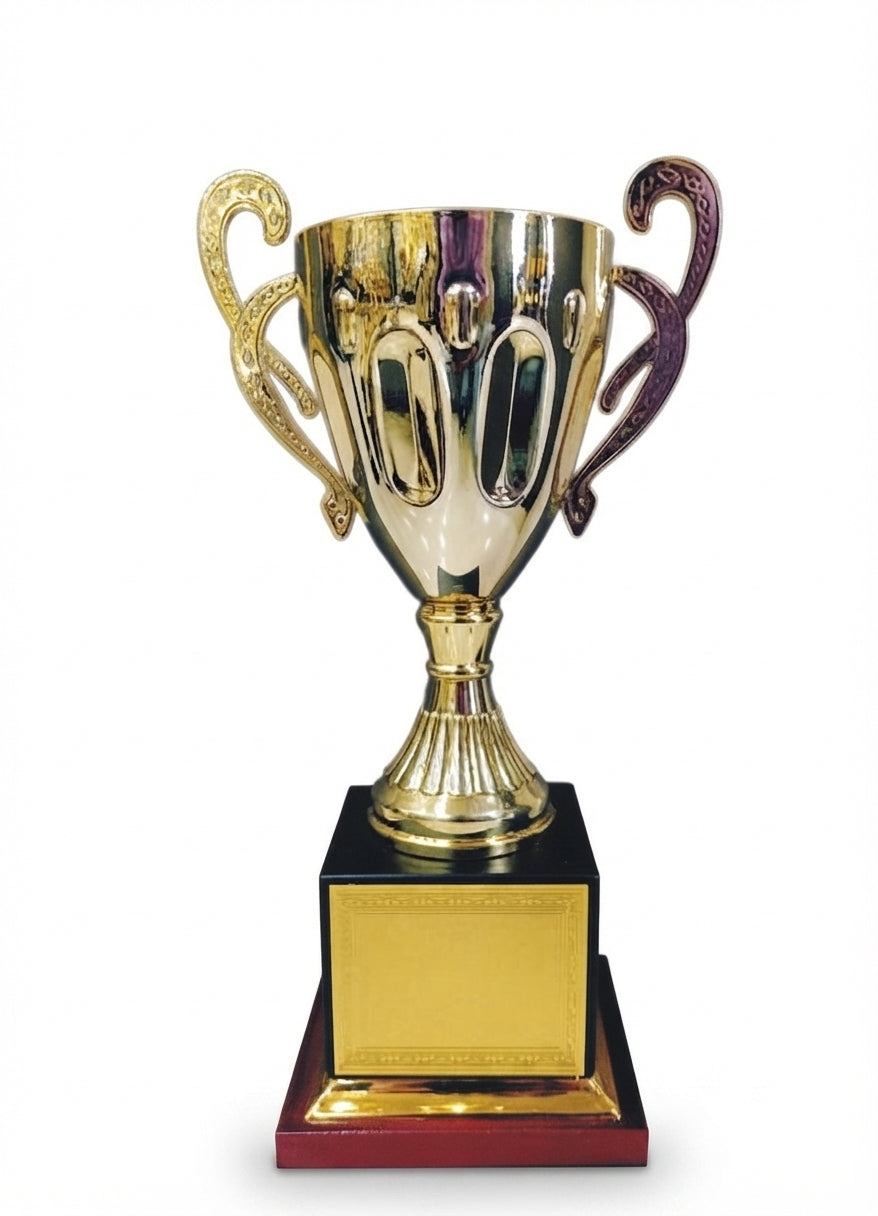 Gold Metal Award Trophy 5001 - Meru Trophy