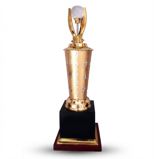 Premium Corporate Trophy gold black premium award trophy - Recognition Awards 4180 - Meru Trophy