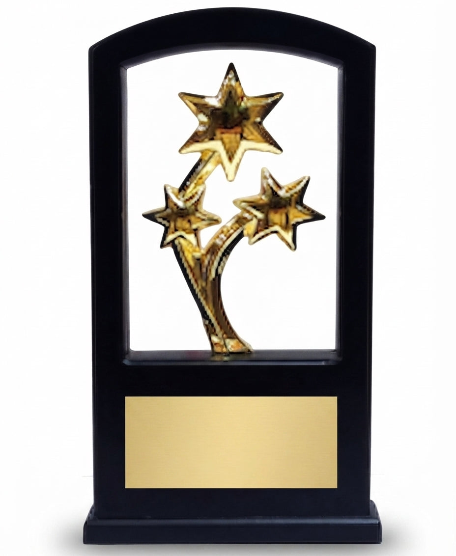 Black and Gold Star Acrylic Trophy Awards RM 21 - Recognition Awards - Meru Trophy
