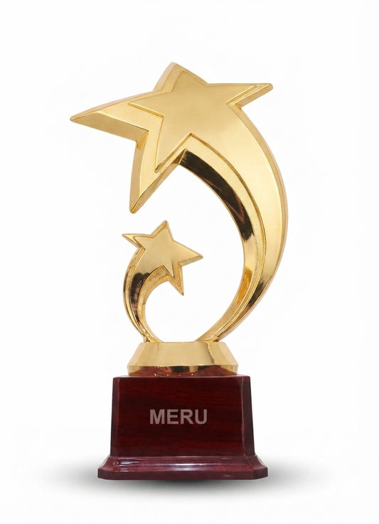 Gold Star Fibre Trophy for Achievement Award gold star achievement award trophy 212 - Meru Trophy
