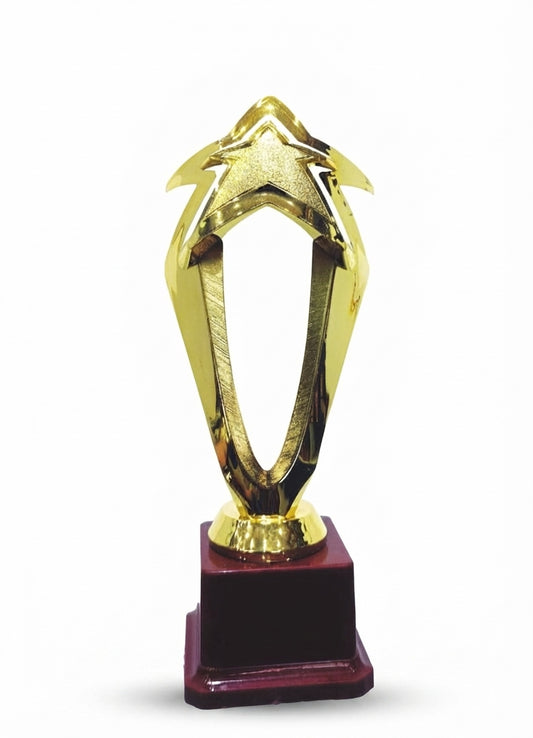 Gold Star Acrylic Achievement Trophy 211 - Meru Trophy