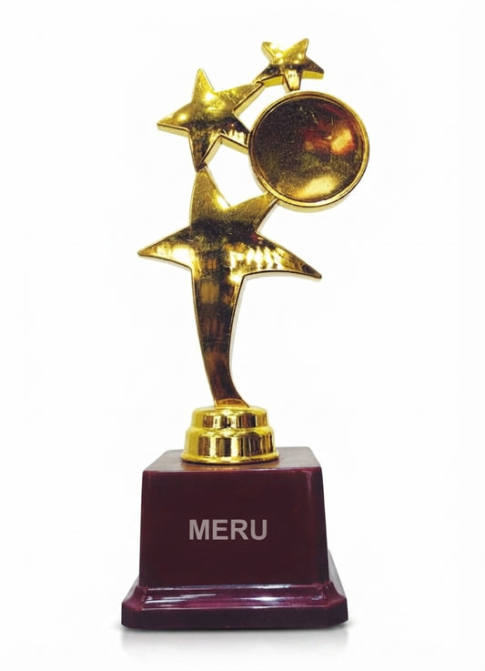 Gold Star Fiber Trophy Achievement Award 355 - Meru Trophy