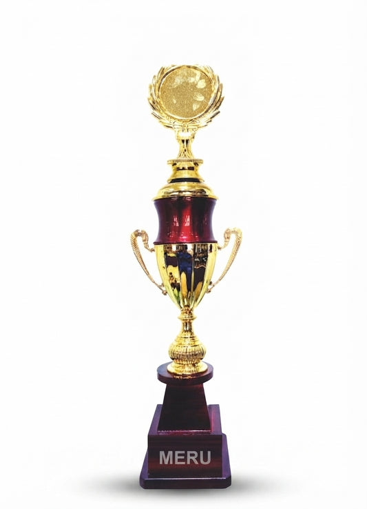 Custom Award Trophy Gold Maroon Cup Trophy  403 - Meru Trophy