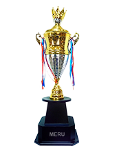Elegant Gold and Silver Cup Trophy - Sports Award