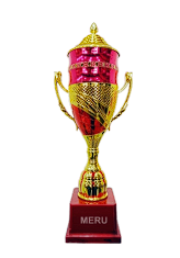 Gold and silver cup trophy with starburst finial
