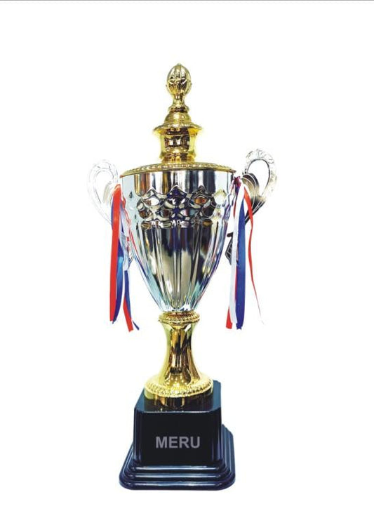 Elegant Metal Trophy - Recognition Award 2051