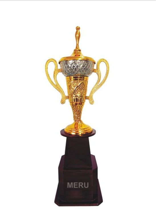 Elegant Gold and Silver Metal Trophy Award - 960