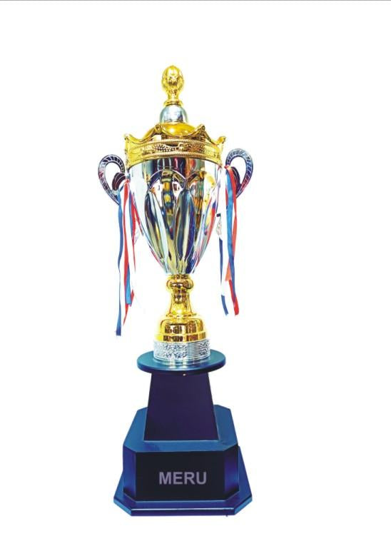 Silver and gold metal trophy; ideal for sports awards and recognition events.