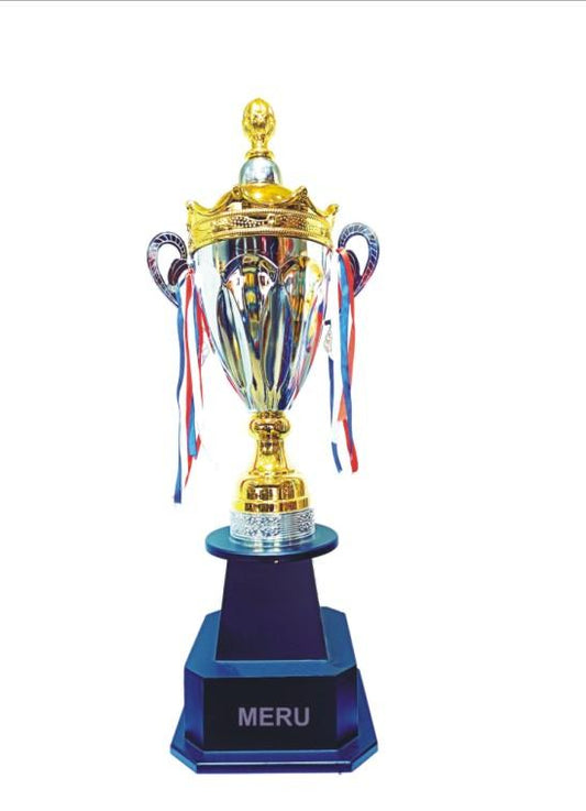 Silver and gold metal trophy; ideal for sports awards and recognition events.